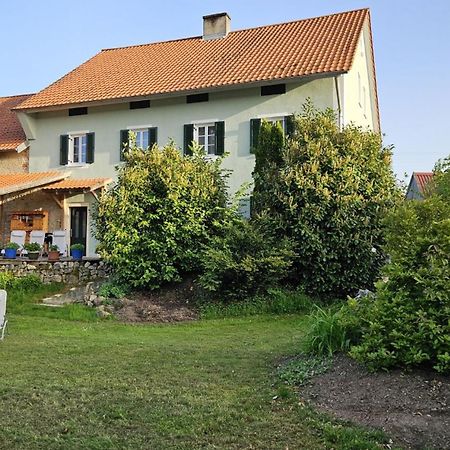 Ferienhaus Am Donauspitz Кельхайм Экстерьер фото