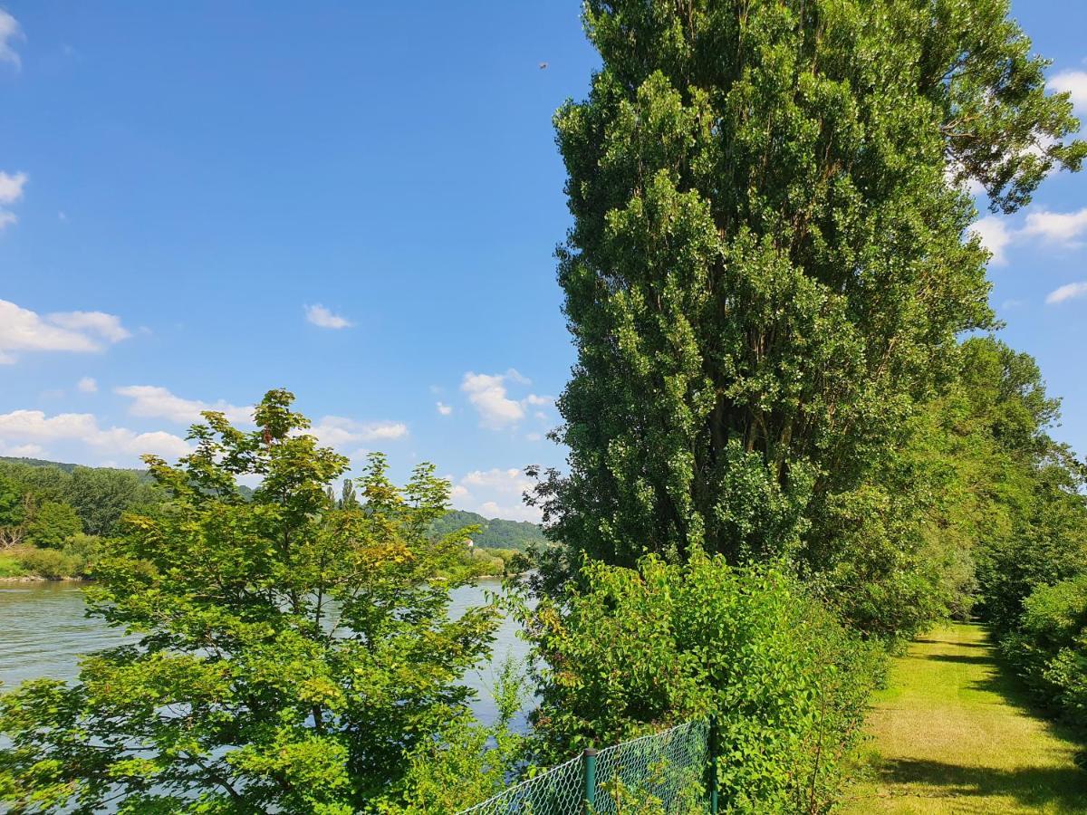 Ferienhaus Am Donauspitz Кельхайм Экстерьер фото